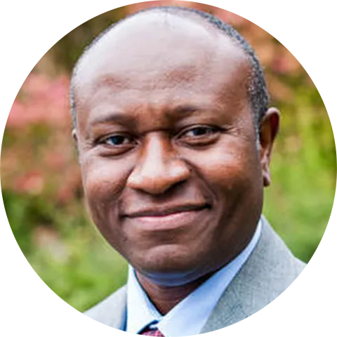 Dr. Micheal Ngadi's Profile